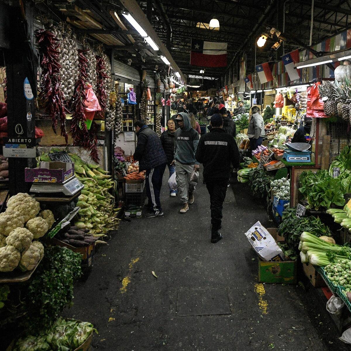 “No estimamos alzas”: Gobierno descarta aumento de precios de frutas y verduras tras incendio en la Vega Central
