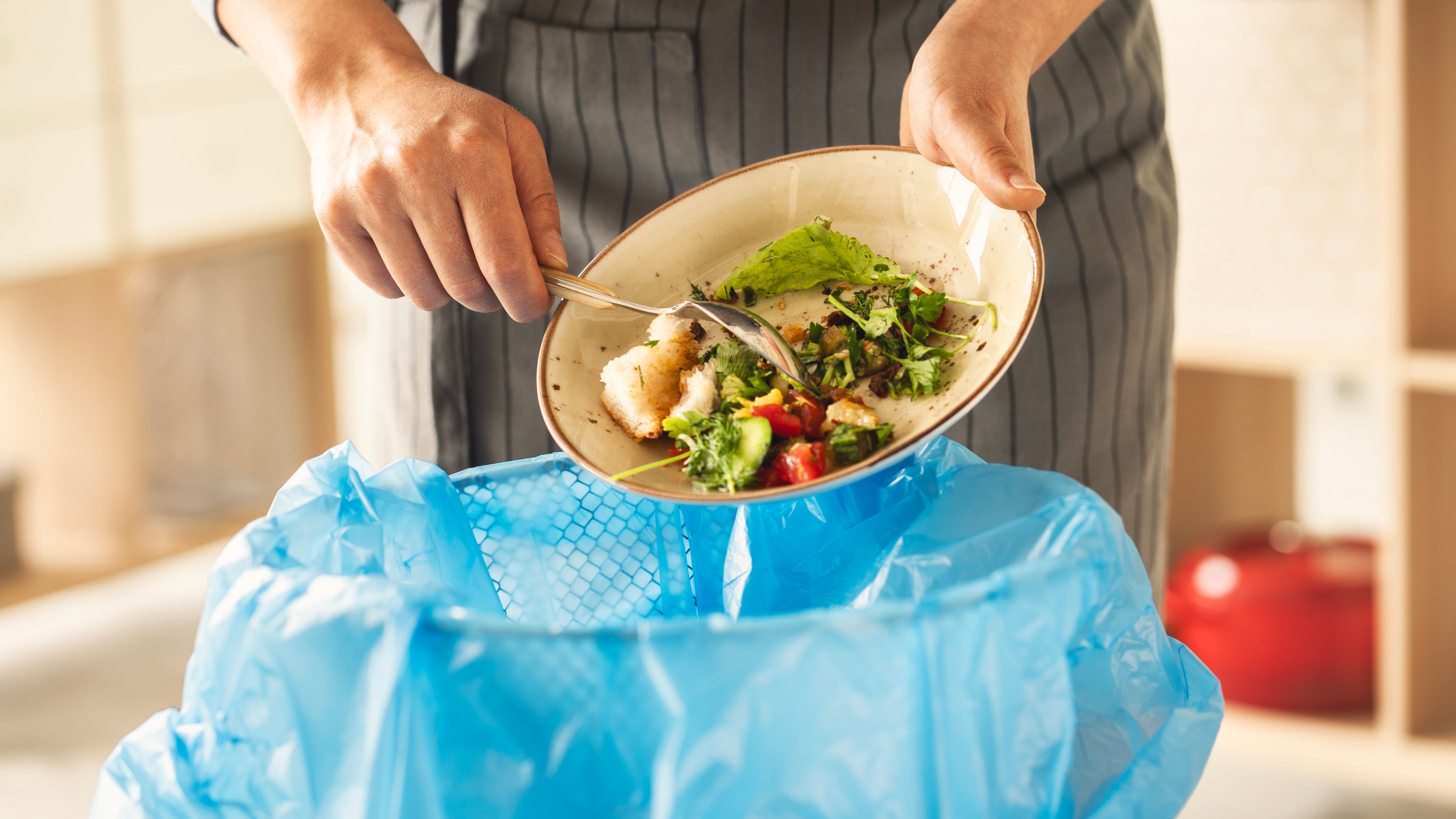 Encuesta revela que 98% de los chilenos desperdicia más alimentos en verano: frutas y verduras lideran las pérdidas