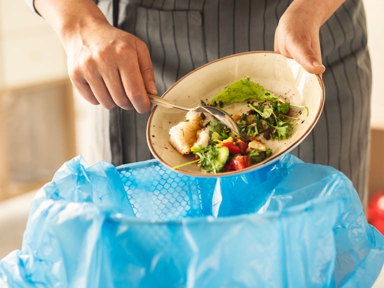 Encuesta revela que 98% de los chilenos desperdicia más alimentos en verano: frutas y verduras lideran las pérdidas