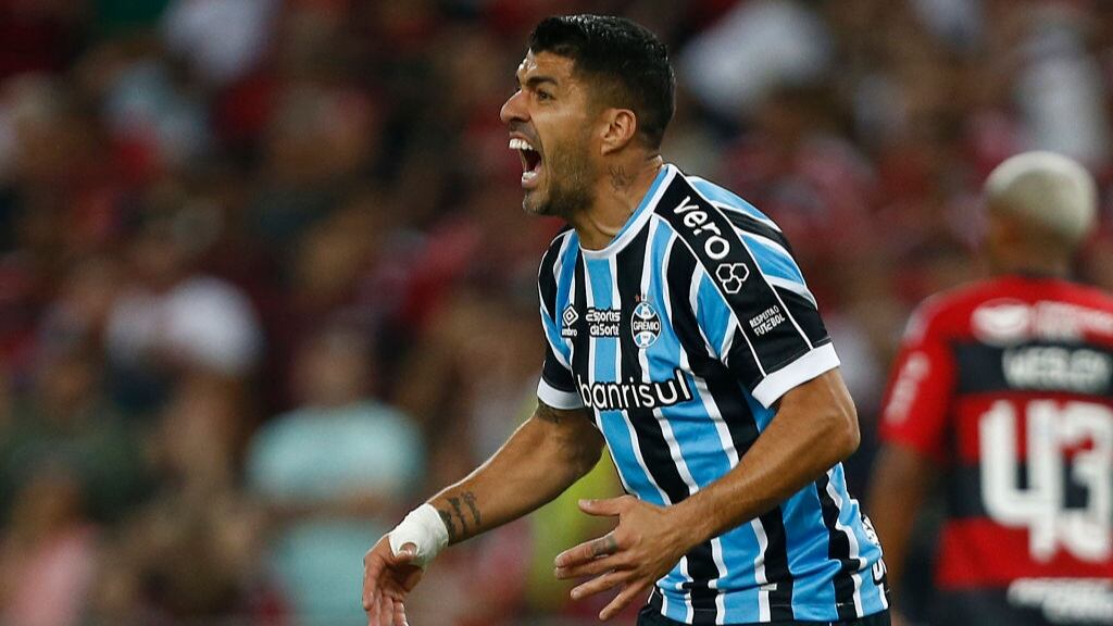Luis Suárez se retiraría del fútbol en Gremio por problemas en su rodilla