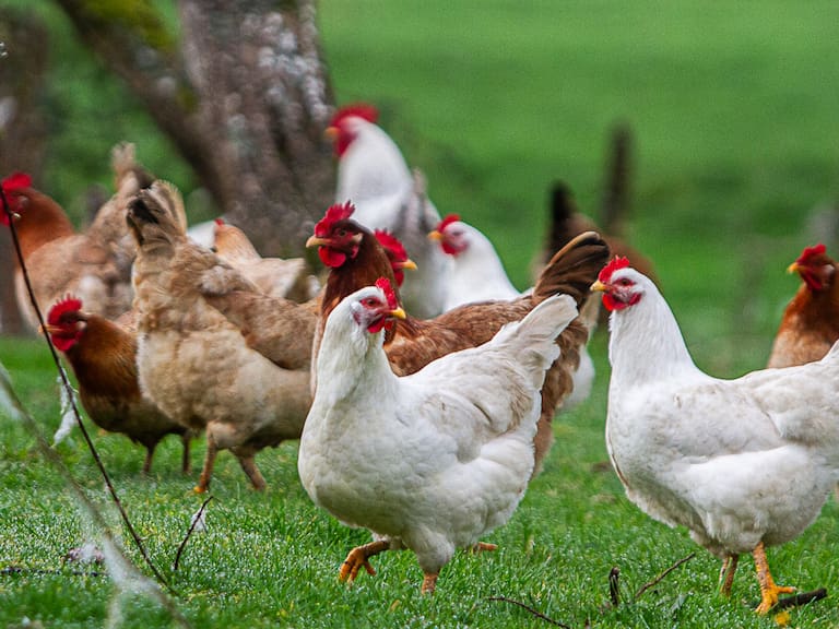 FOTO: Rudy Muñoz / UNO NOTICIAS