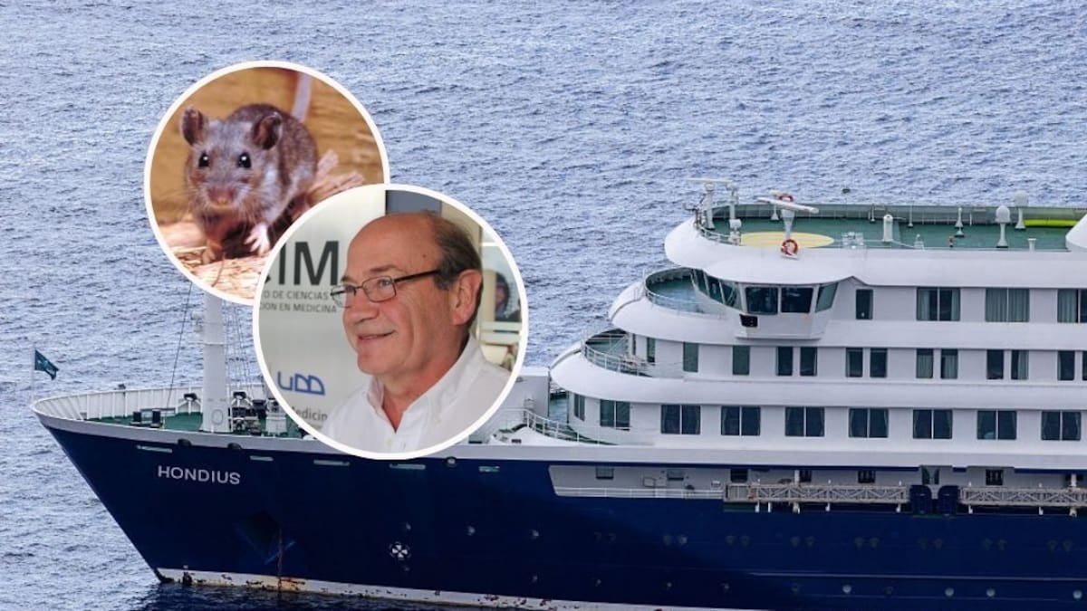El mundo mira a Chile tras brote de hantavirus en crucero: revistas científicas destacan trabajo de infectólogo Pablo Vial