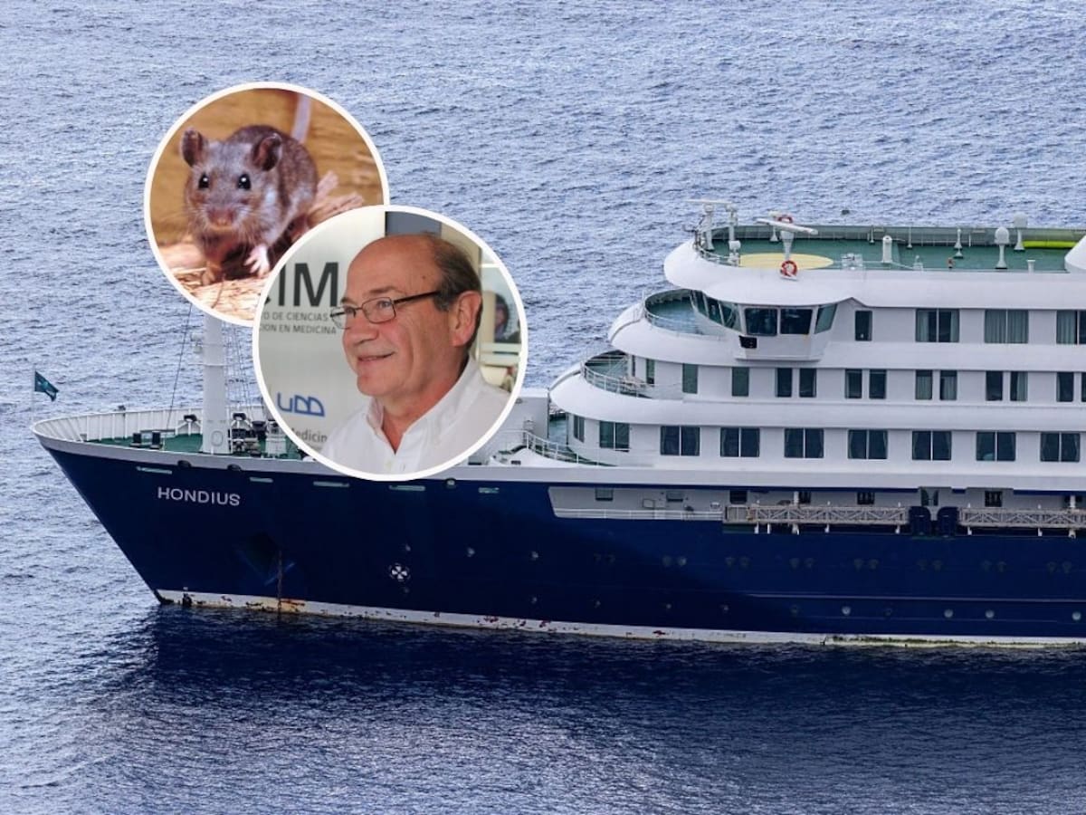 El mundo mira a Chile tras brote de hantavirus en crucero: revistas científicas destacan trabajo de infectólogo Pablo Vial