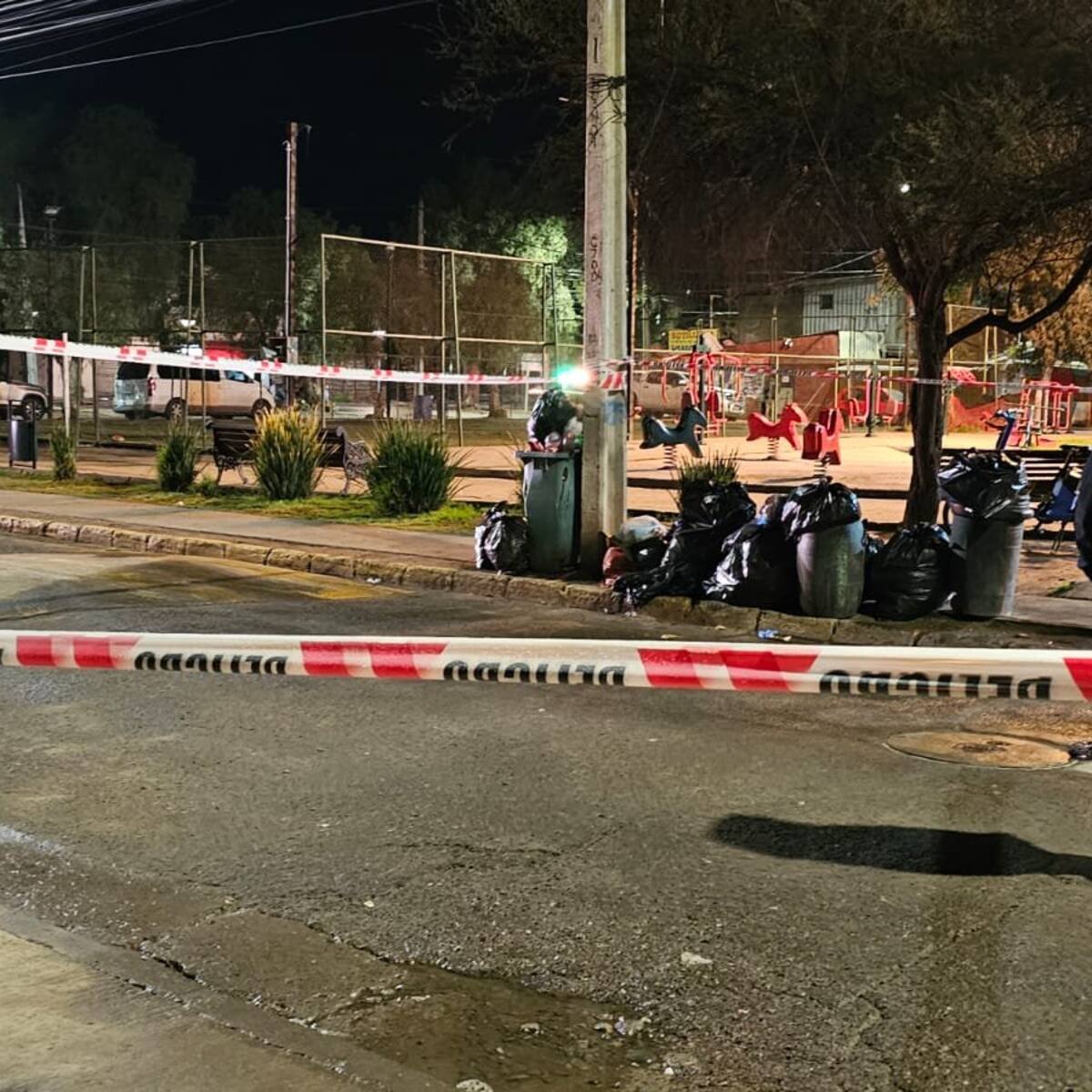 Escucharon disparos y lo encontraron muerto: hombre es asesinado a tiros en Paine