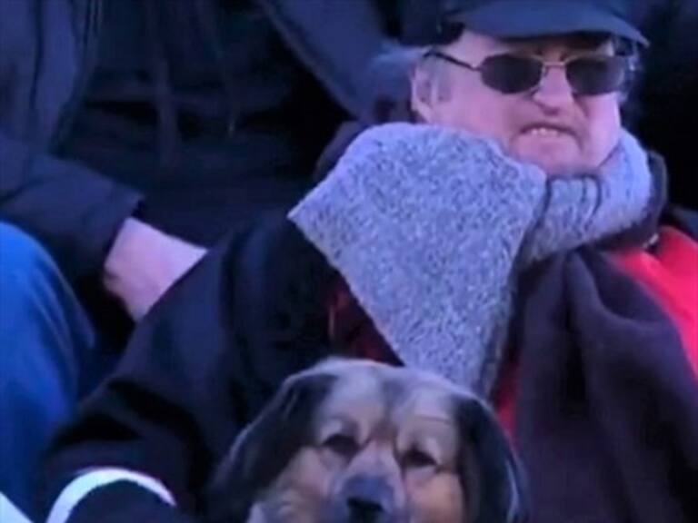 El perro Caín es hincha de Nueva Chicago y su dueño lo lleva desde hace tres años al estadio