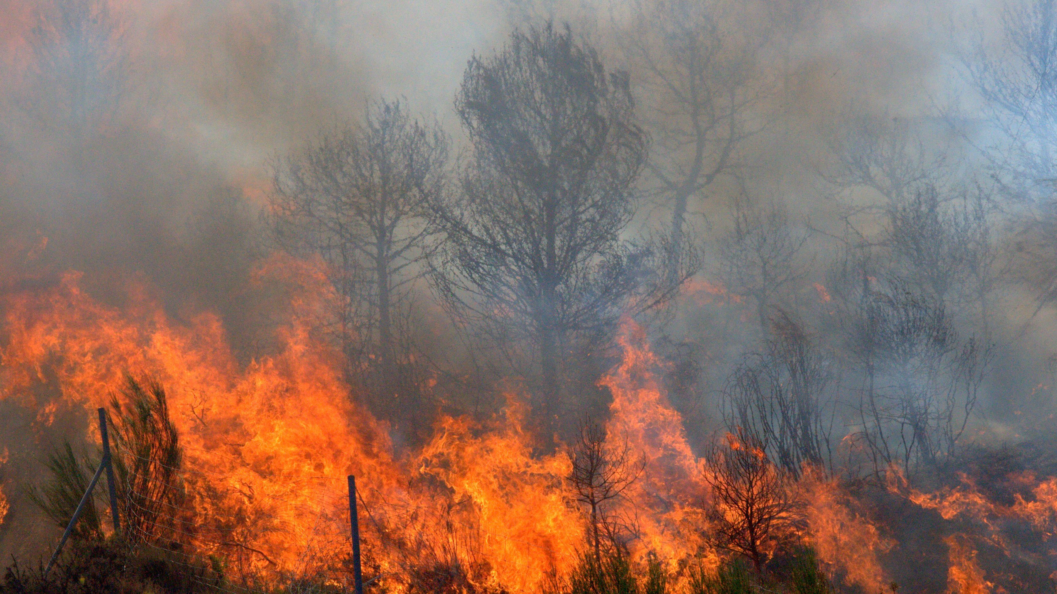 Ola de calor en Europa deja más de 500 fallecidos en España, Francia y Portugal
