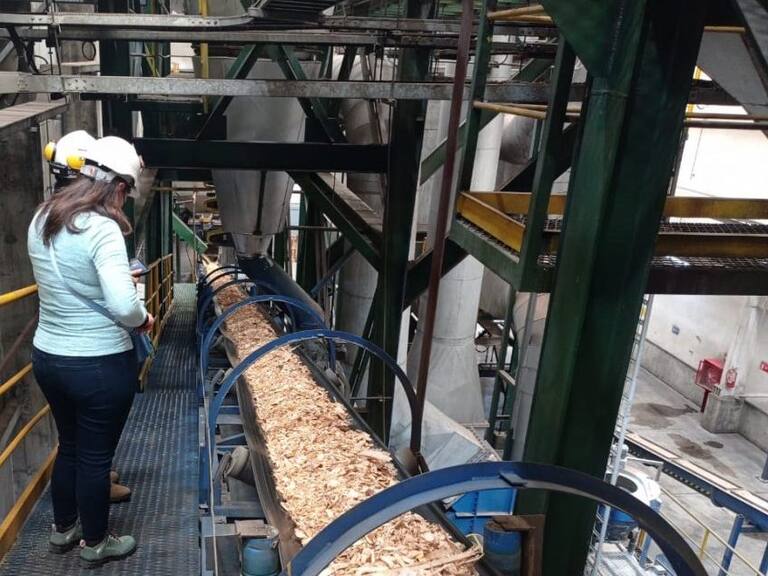 Seremi de Los Lagos llama a evitar acaparamiento en la compra de pellet