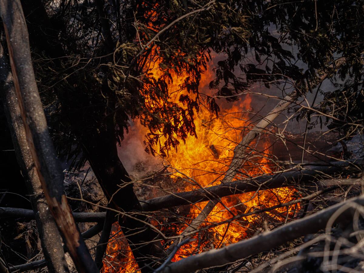 Decretan Alerta Roja para dos comunas de la región de La Araucanía por incendios forestales