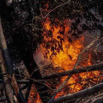 Formalizan a agricultor por quemar basura que inició incendio forestal en el Maule  