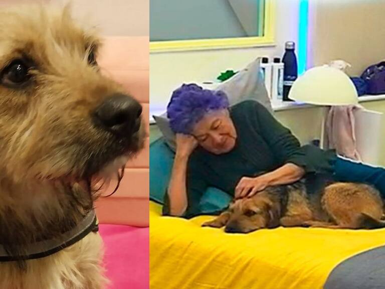 De estar sin hogar a ser el favorito de «Gran Hermano Chile»: esta es la conmovedora historia de Bigote
