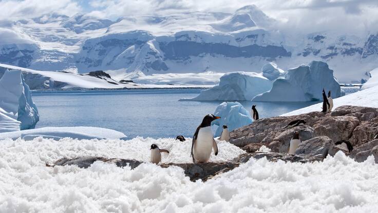 Así se vería la Antártida sin hielo: Expertos revelan el impacto y las consecuencias que podría tener
