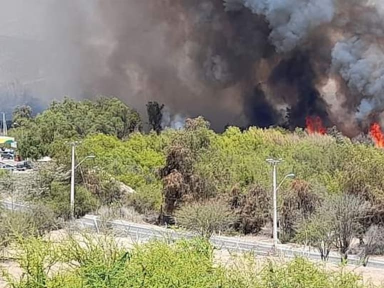 Declaran Alerta Roja: incendio forestal en la comuna de Monte Patria afecta a viviendas