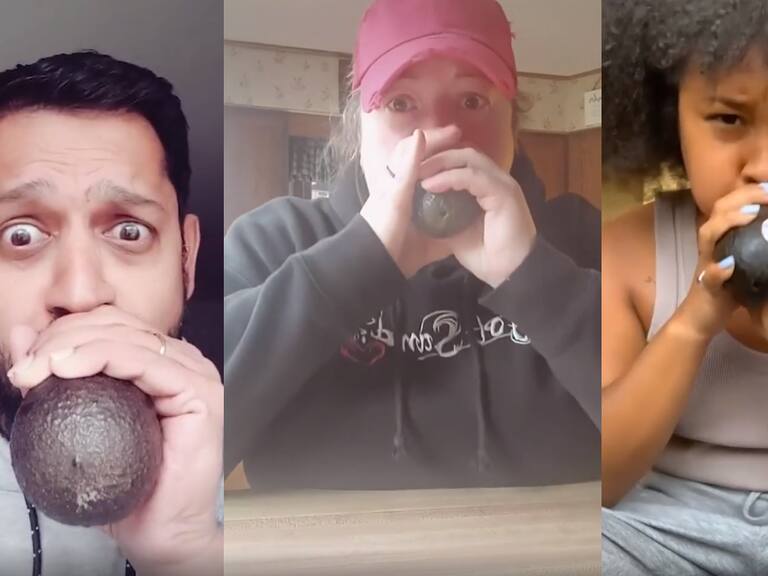 Autor del «Reto de la palta» muestra la verdad luego que cientos de usuarios cayeran en la broma de TikTok