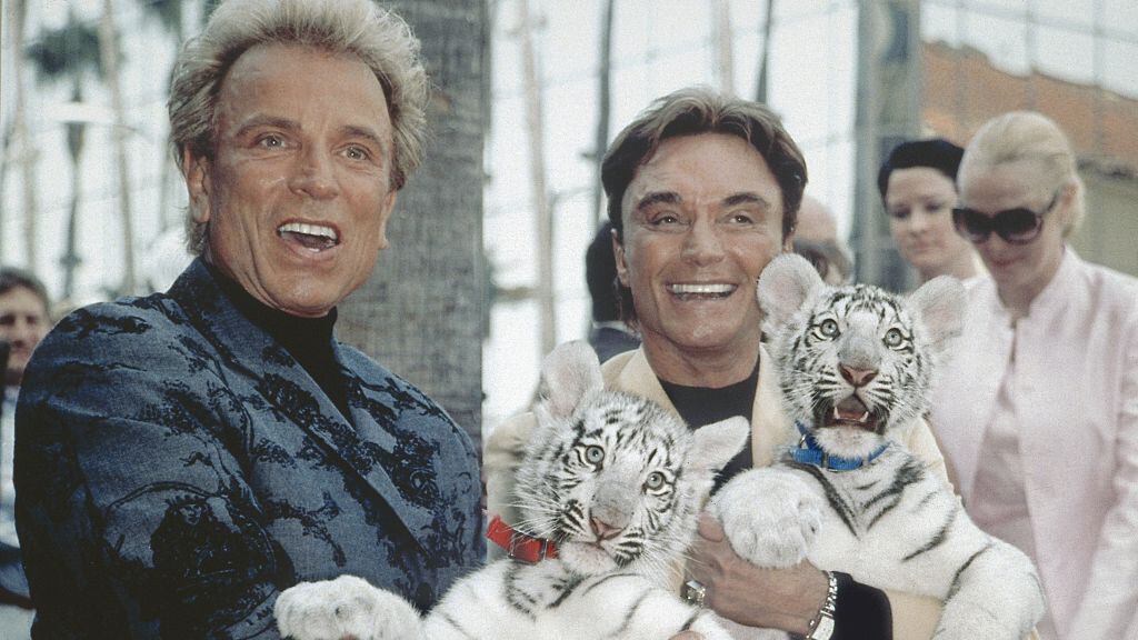 (GERMANY OUT) Die Zauberkünstler Siegfried (li.) und Roy (Siegfried Fischbacher und Uwe Ludwig Horn) halten weiße junge Tiger in den Armen. (Photo by Siemoneit/ullstein bild via Getty Images)