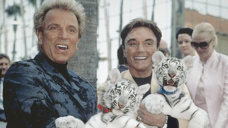 (GERMANY OUT) Die Zauberkünstler Siegfried (li.) und Roy (Siegfried Fischbacher und Uwe Ludwig Horn) halten weiße junge Tiger in den Armen. (Photo by Siemoneit/ullstein bild via Getty Images)