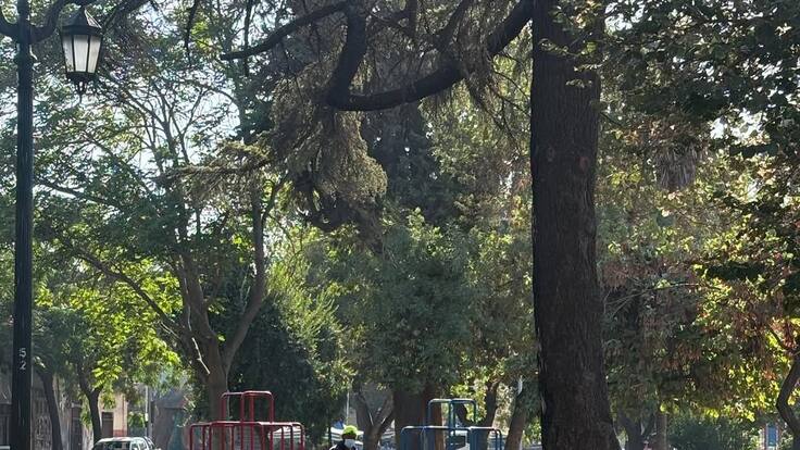 Comienzan las obras del Parque Portales: millonaria inversión busca transformar el histórico espacio de Santiago