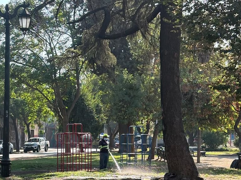 Instagram: @munistgo