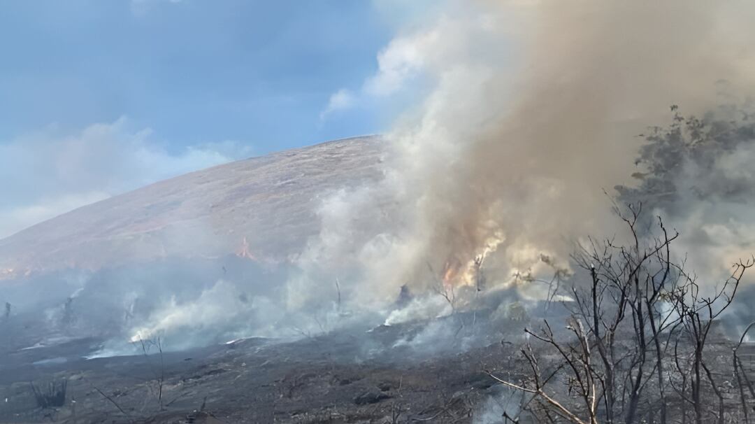Incendio Rapa Nui