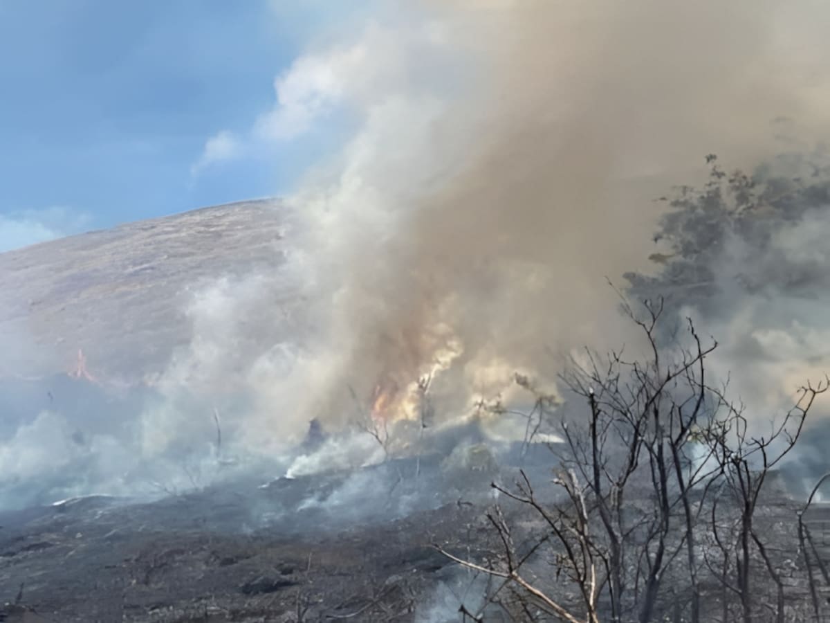 Declaran Alerta Roja en Rapa Nui por incendio forestal cercano a viviendas