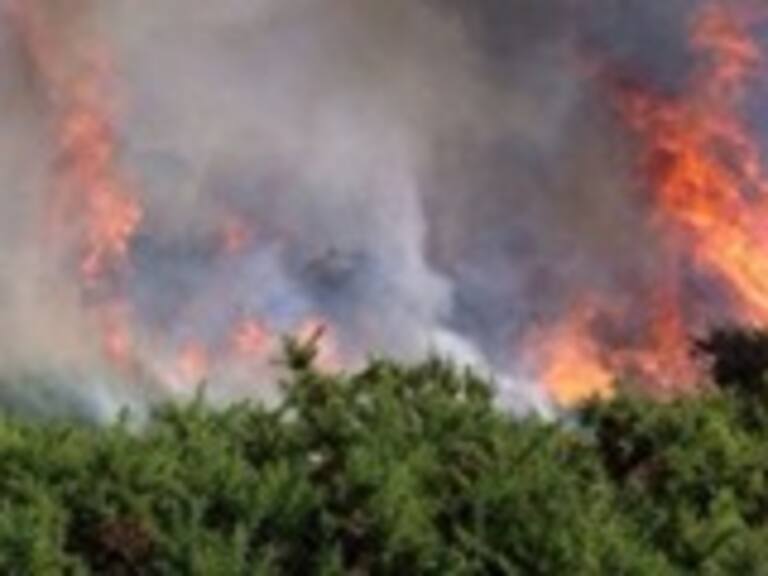 Incendio en China Muerta: Brigadistas y maquinaria pesada trabajan en construcción de cortafuegos