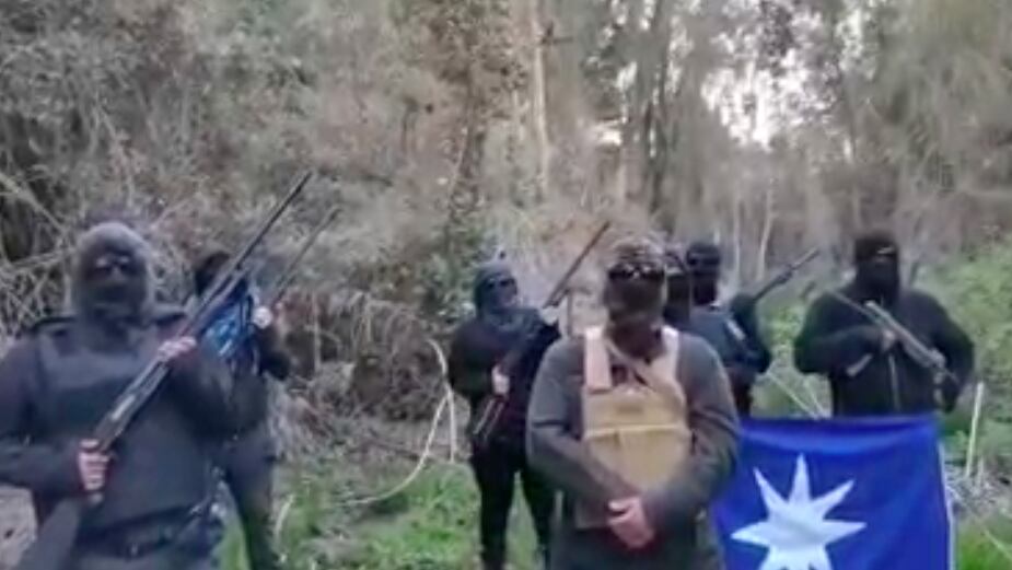 grupo armado resistencia territorial mapuche
