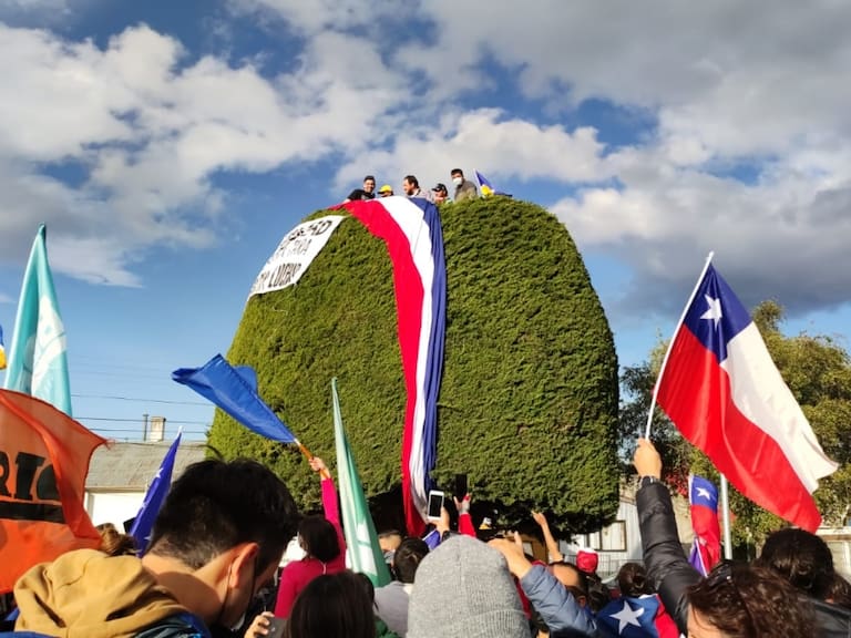 Punta Arenas festeja sobre el árbol de Boric: ahora luce una banda presidencial
