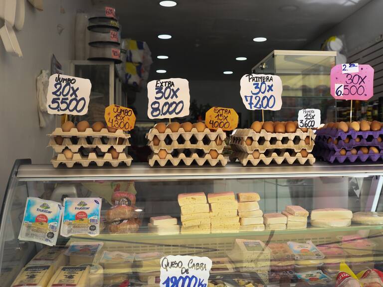 19 DE AGOSTO DE 2024 / COPIAPOFOTO: KARL GRAWE / AGENCIA UNO