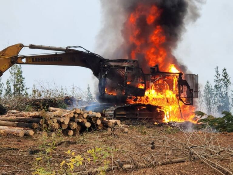 Encapuchados armados protagonizaron ataque incendiario en Lumaco: se reportan once máquinas destruidas