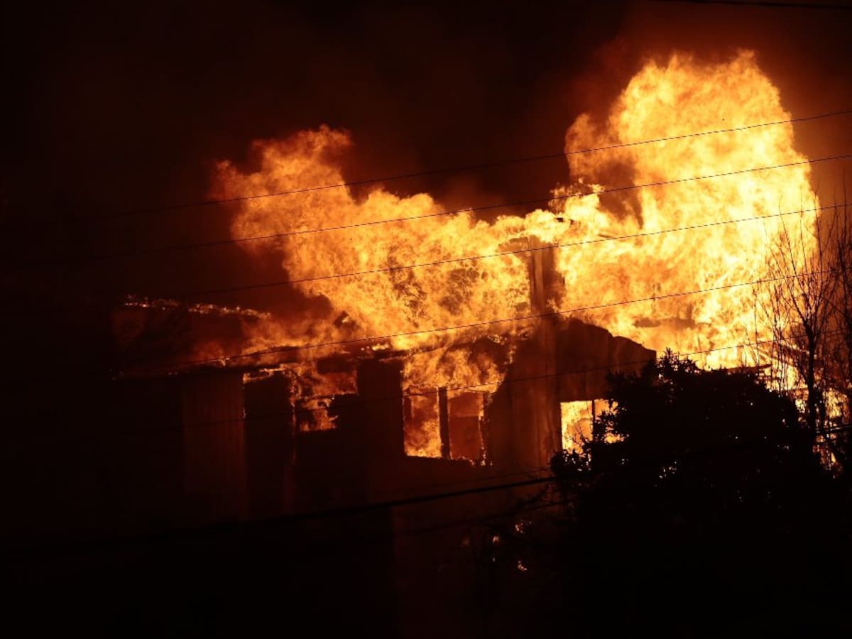 Tras incendios forestales en Penco: mujer perdió $2 millones que guardaba dentro de una lata