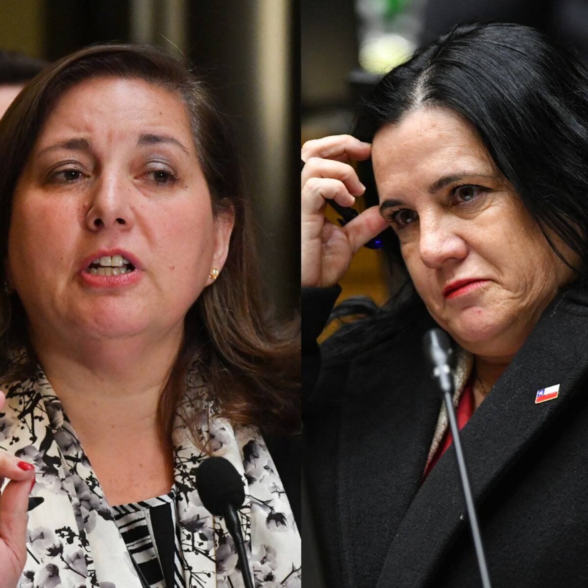 Vodanovic arremete contra Steinert: “Sus dichos son incomprensibles” y advierte que Cuenta Pública de Kast será un punto de quiebre