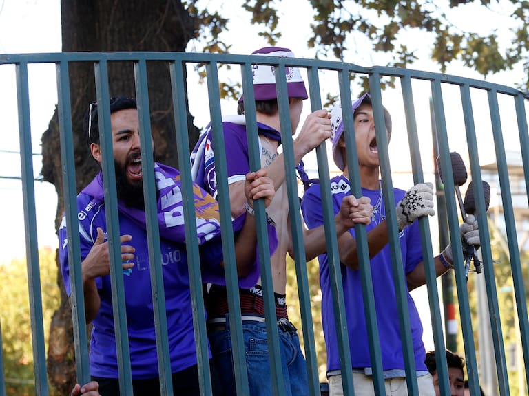Un león herido: El día que se decretó la desafiliacion de Deportes Concepción