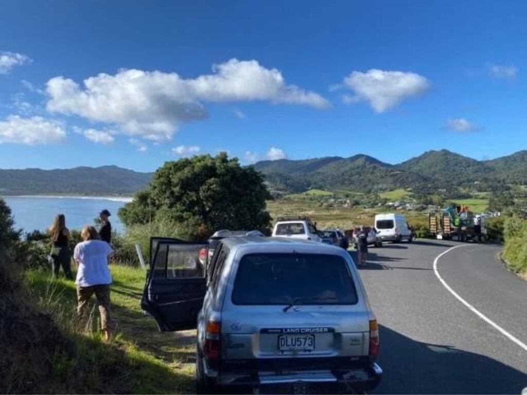 Los ciudadanos se alejaron de la costa en sus autos en Nueva Zelanda