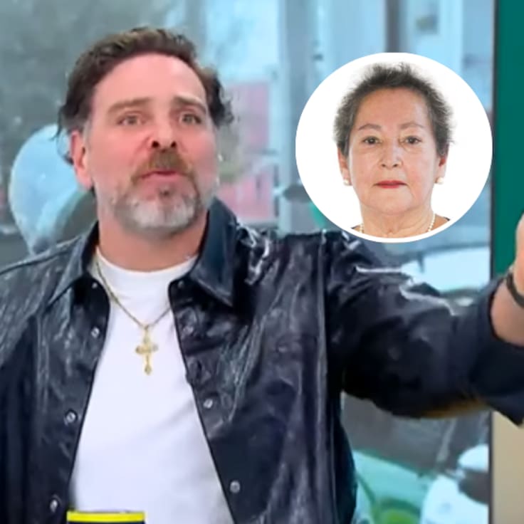“Qué estupidez es esa”: José Antonio Neme estalla por teoría sobre desaparición de concejala de Villa Alegre