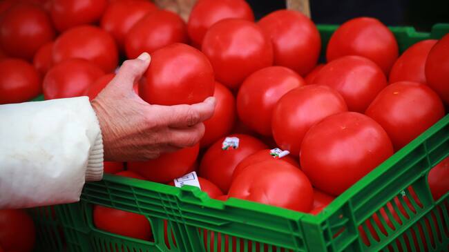 26 de Junio del 2020/ SANTIAGO
Detalle de la mano de una mujer tomando un tomate, durante el desarrollo de una feria libre en la comuna de Puente Alto, mientras mañana será en ultimo día de funcionamiento de estas dictado por las autoridades con una restriccion de 15 de dias, en medio de la pandemia de COVID-19.
Fotos: JOSÉ FRANCISCO ZUÑIGA/ AGENCIAUNO