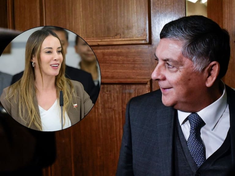 El particular desmarque del ministro Alvarado frente a las declaraciones de Mara Sedini
