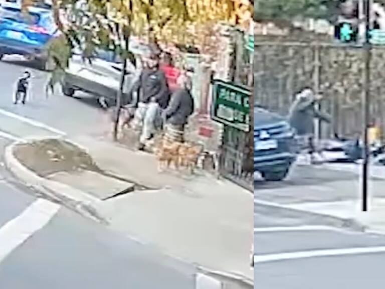 Formalizan a dueña de jauría de perros en Buin: atacaron a una madre y a su hijo de un año