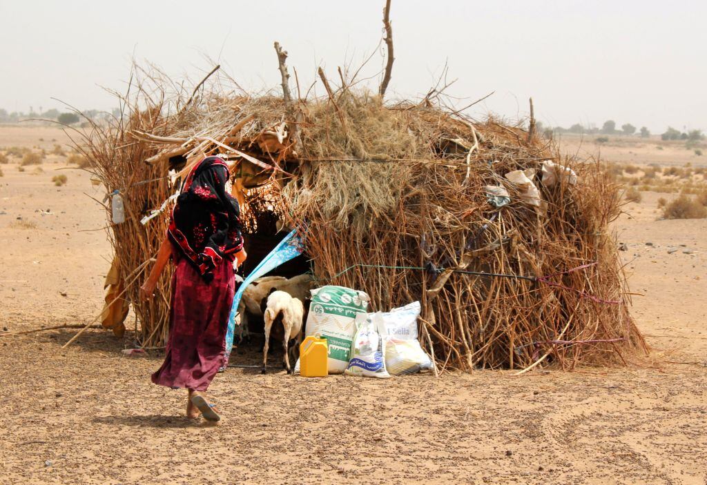 Programa de ONU entrega alimentos para enfrentar el hambre en aldea de Yemen