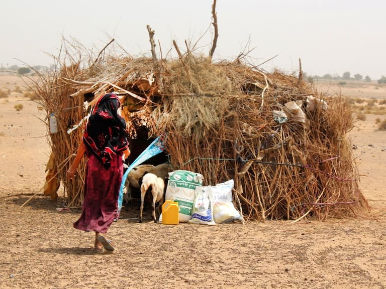 Programa de ONU entrega alimentos para enfrentar el hambre en aldea de Yemen