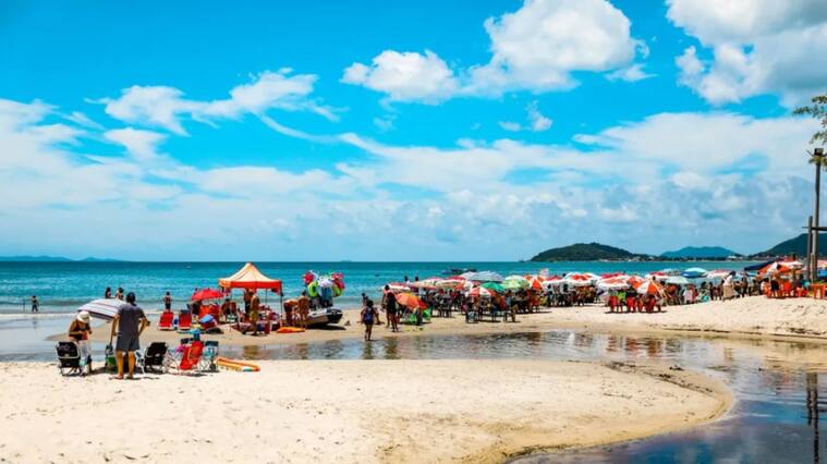 Brasil, playa de Canasvieiras, brote de diarrea, norovirus, Universidad Federal de Santa Catarina, Universidad Federal de Santa Catarina (UFSC), viróloga, análisis ambiental, causa de la afección