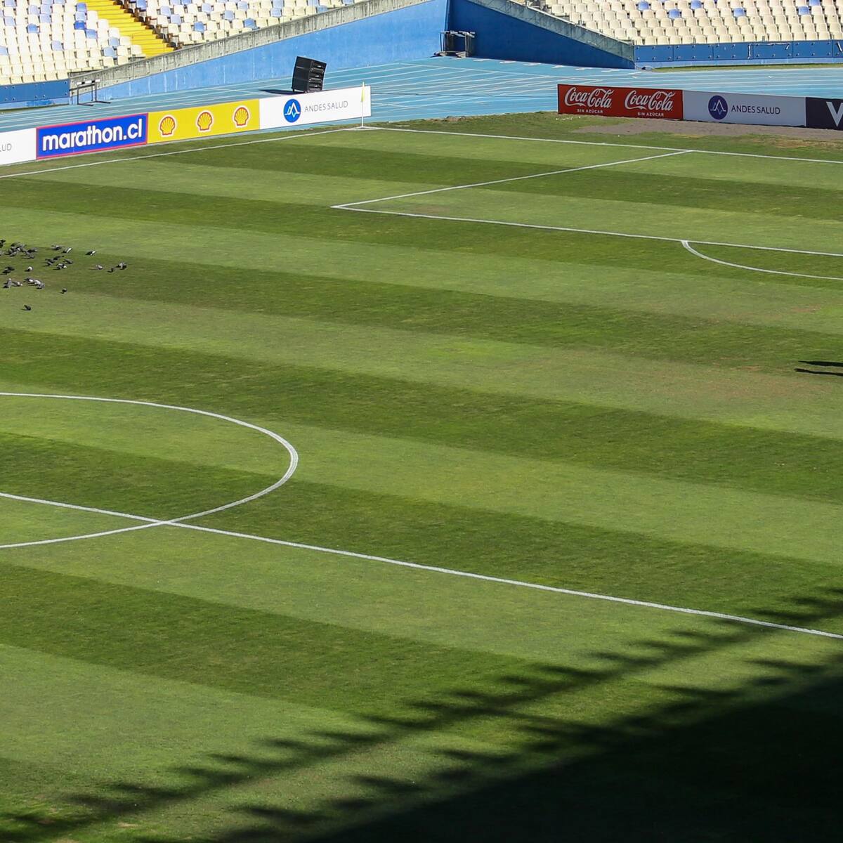 Otro estadio del fútbol chileno cierra sus puertas: “Después de 10 años con este césped, necesitamos alguna mantención mayor”