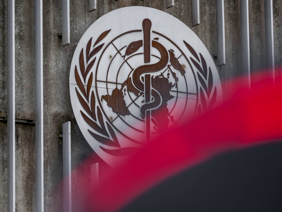 Académico de la Usach logra histórico puesto: es el primer chileno en integrar importante comité internacional de la OMS