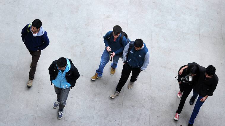 Universitarios