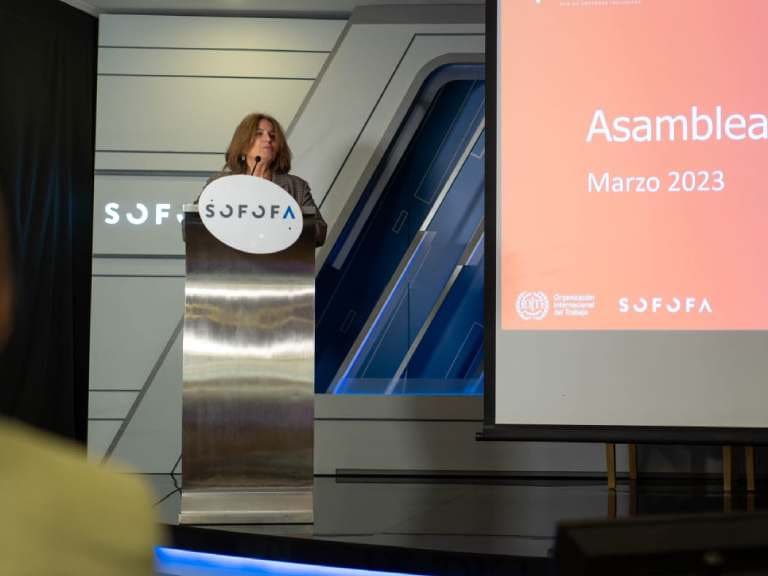 Red de Empresas Inclusivas (ReIN) de SOFOFA mejoran su gestión de inclusión laboral en todas las dimensiones evaluadas