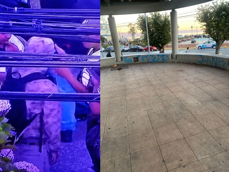 Adolescente es detenido por rayar la glorieta de la Plaza de Armas de Puerto Montt