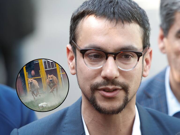 Alcalde de Peñalolén denuncia amenazas de muerte tras cierre de canódromo: le advirtieron que iban a “tirarle balazos”