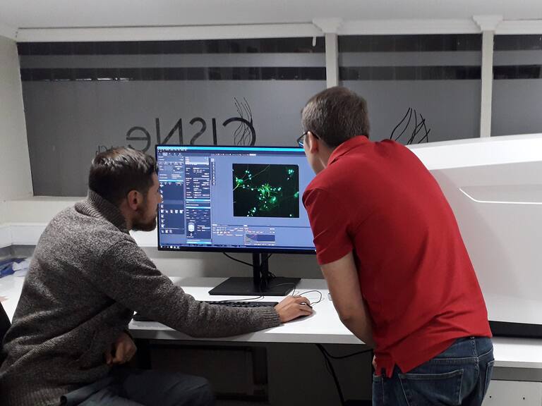 Microscopio y coronavirus