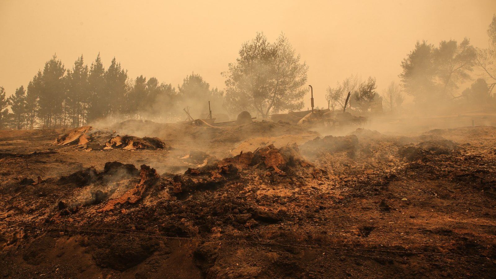 incendio forestal, región del Maule, sospechoso, Juzgado de Garantía de Parral, Una llamada anónima, p