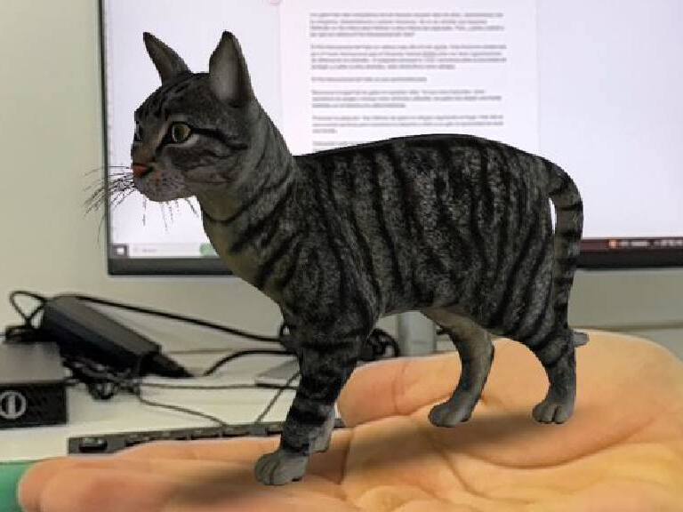 Descubre las curiosidades de Google para el Día del Gato
