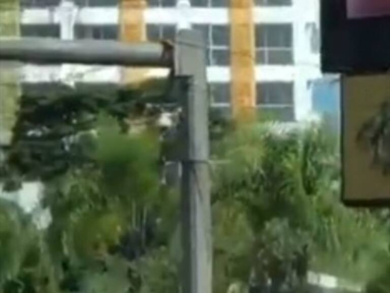 Video porno es proyectado en pantalla gigante en plena calle de República Dominicana