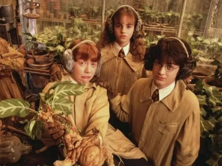 Actriz de “Harry Potter” confiesa que podría optar por el suicidio asistido